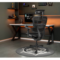 Silla Ergohuman Ultra Black Carbon Edition