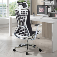 Silla Ergonómica...